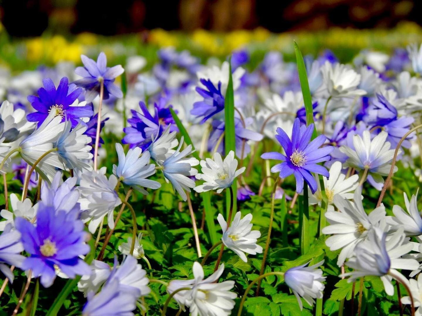 Thornton Manor - Holiday Cottages And Apartments Heswall Pokoj fotografie