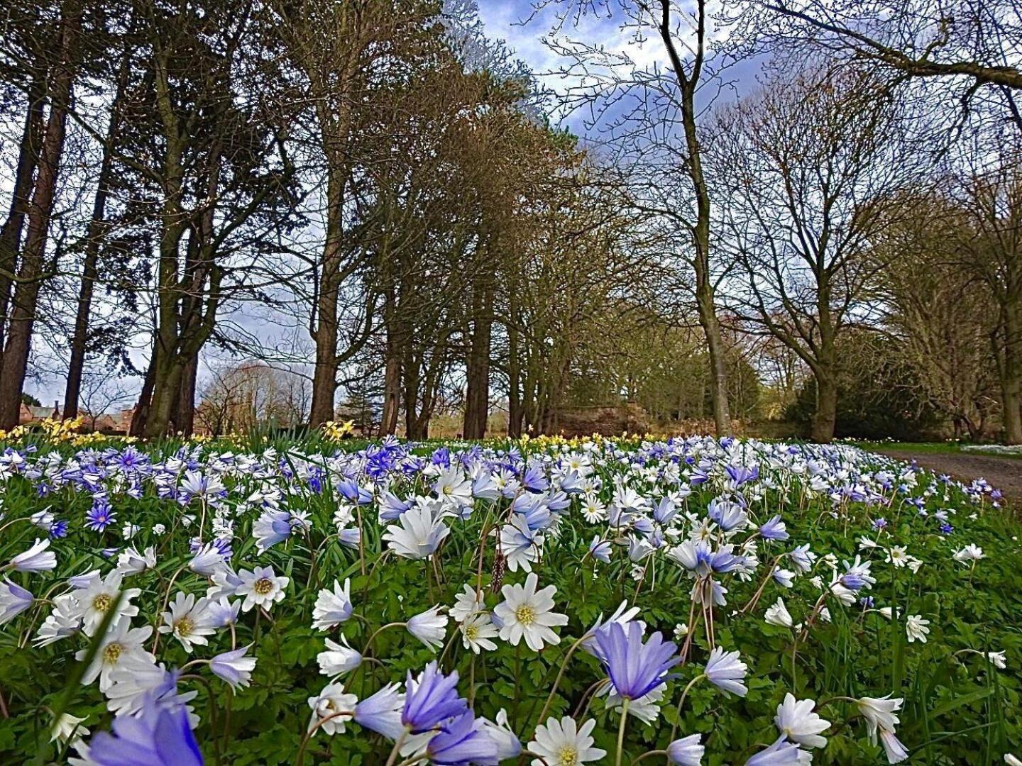 Thornton Manor - Holiday Cottages And Apartments Heswall Pokoj fotografie